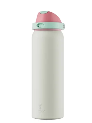 Stainless Steel Vacuum Water Bottle with Straw
